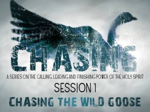 Chasing - The Wild Goose
