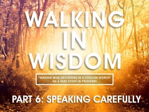 05-04-2016 WED Walking In Wisdom - Part6- SPEAKING CAREFULLY